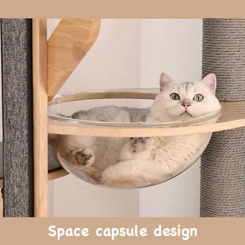 Oasis of the Desert Design Krabpaal