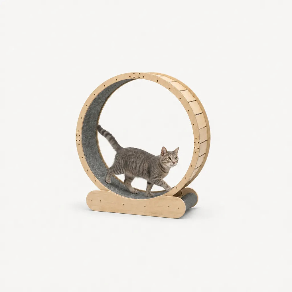 Aurelia kattenloopwiel